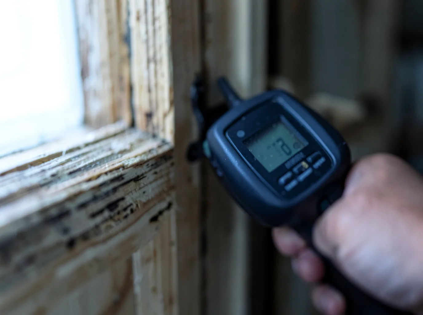 Moisture Inspection And Documentation in Kinards, SC